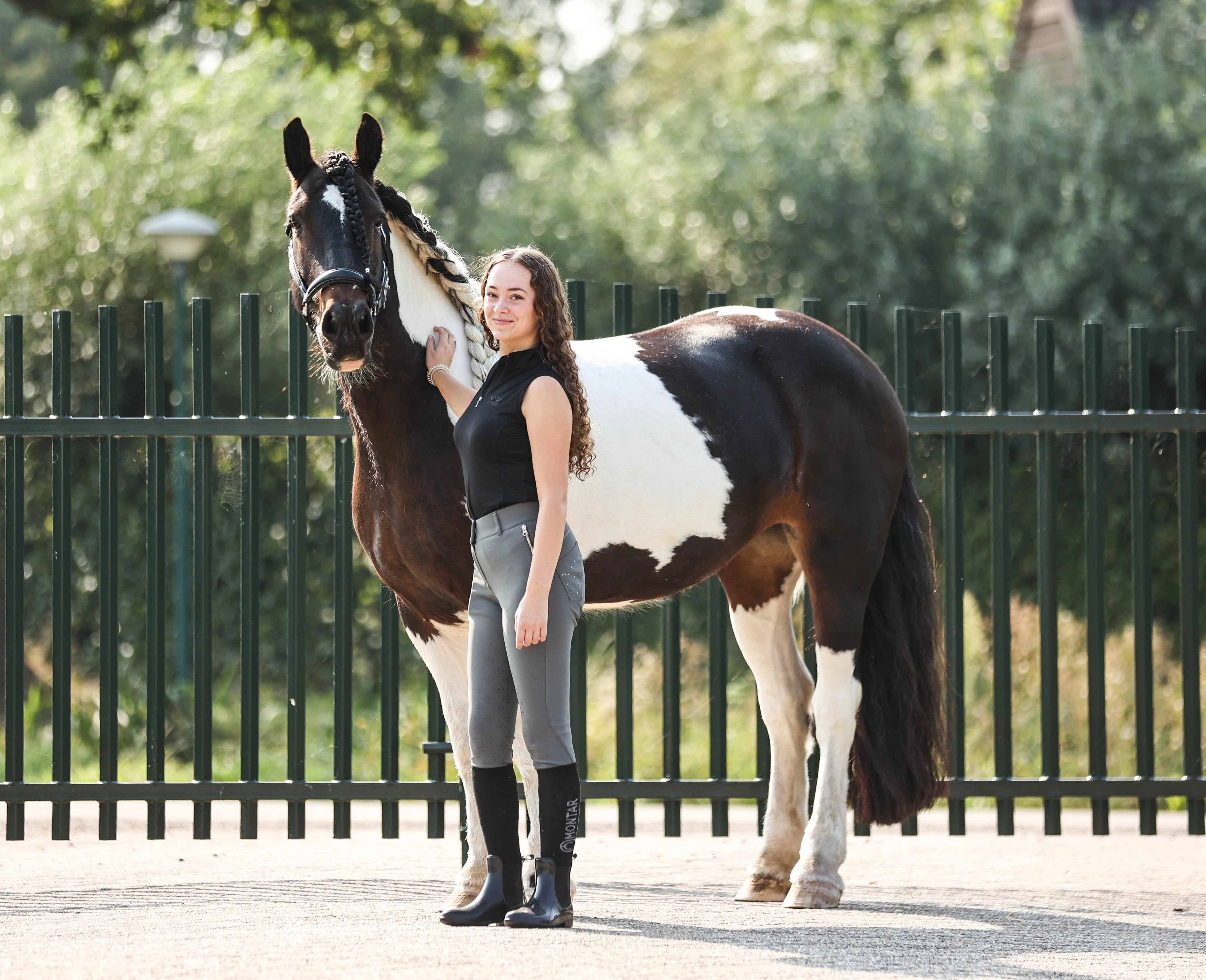 Metavital Horse Scan