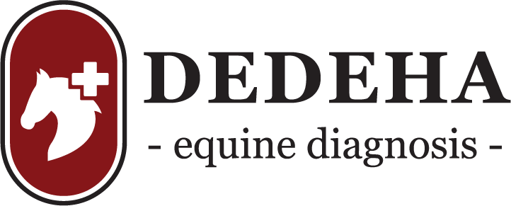 DeDeHa Equine Therapy